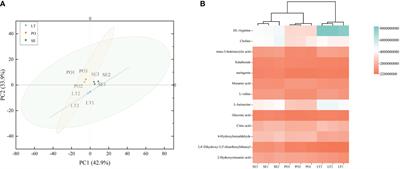Cultivation modes impacting root microbiomes and metabolites in medicinal orchid Dendrobium denneanum